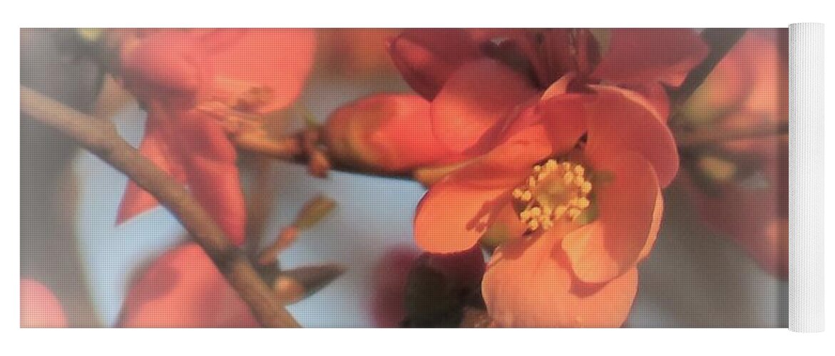 Plants Yoga Mat featuring the photograph Dreamy Pale Pinks in Spring by Linda Stern