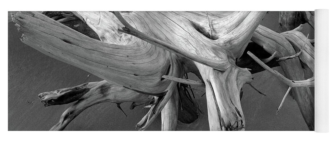 Beach Yoga Mat featuring the photograph Driftwood 2, Big Talbot Island by John Simmons