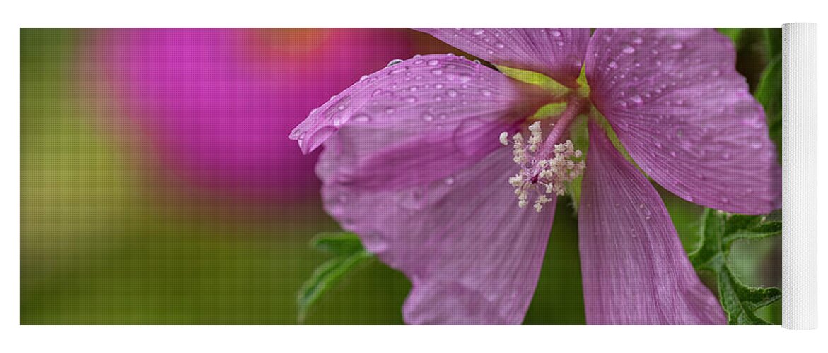 Anthers Yoga Mat featuring the photograph Drizzle on Sidalcea by Robert Potts