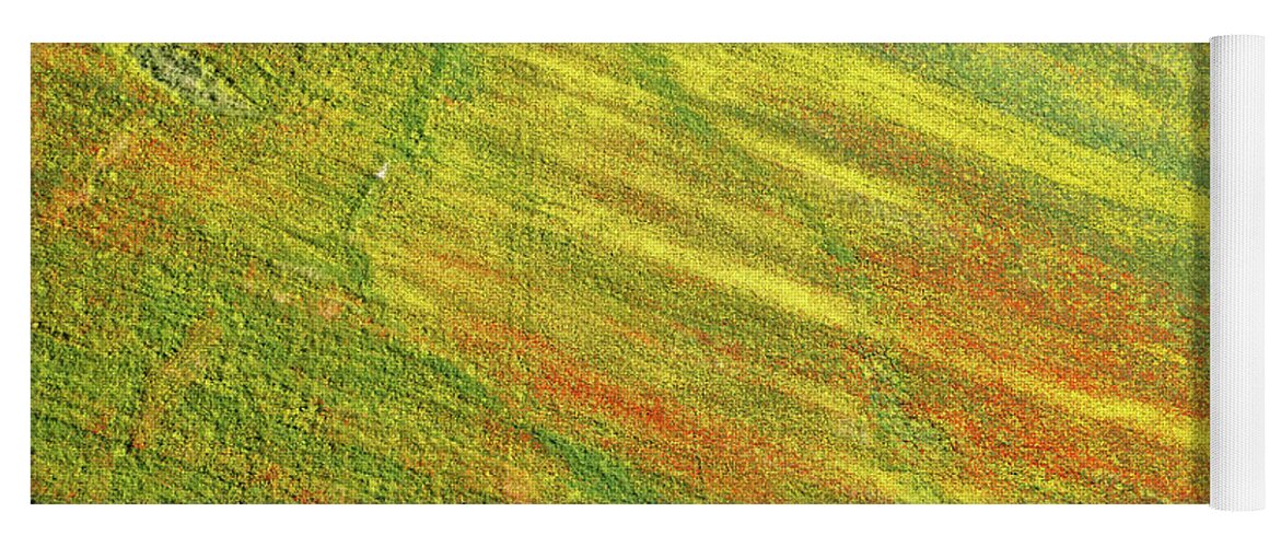 Springtime Yoga Mat featuring the photograph Drone aerial field with yellow blooming and red flowers. Spring landscape background by Michalakis Ppalis