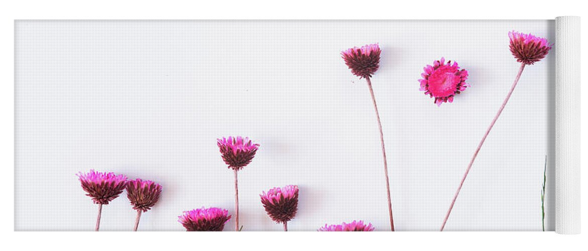 Dry Flowers Yoga Mat featuring the photograph Dry purple floral bouquet on white background. by Michalakis Ppalis