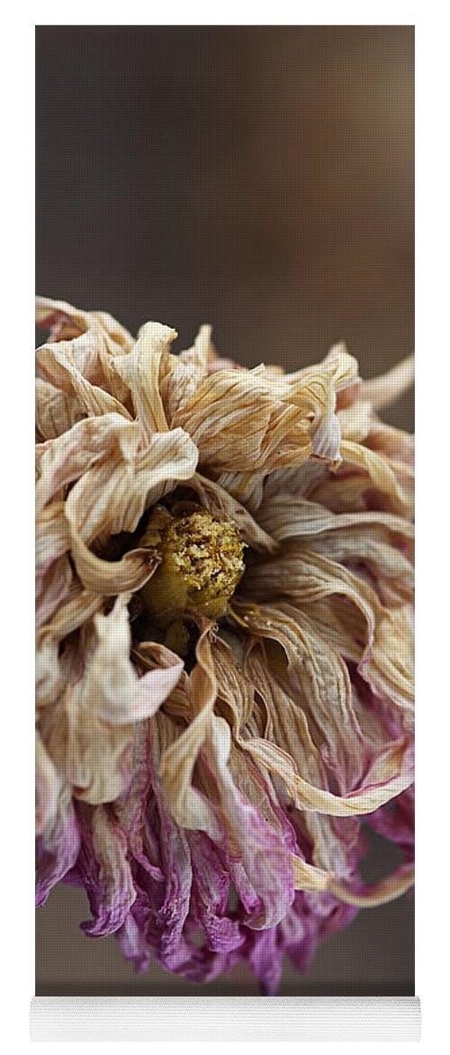 Dahlia Flower Yoga Mat featuring the photograph Drying and Aged Dahlia by Joy Watson