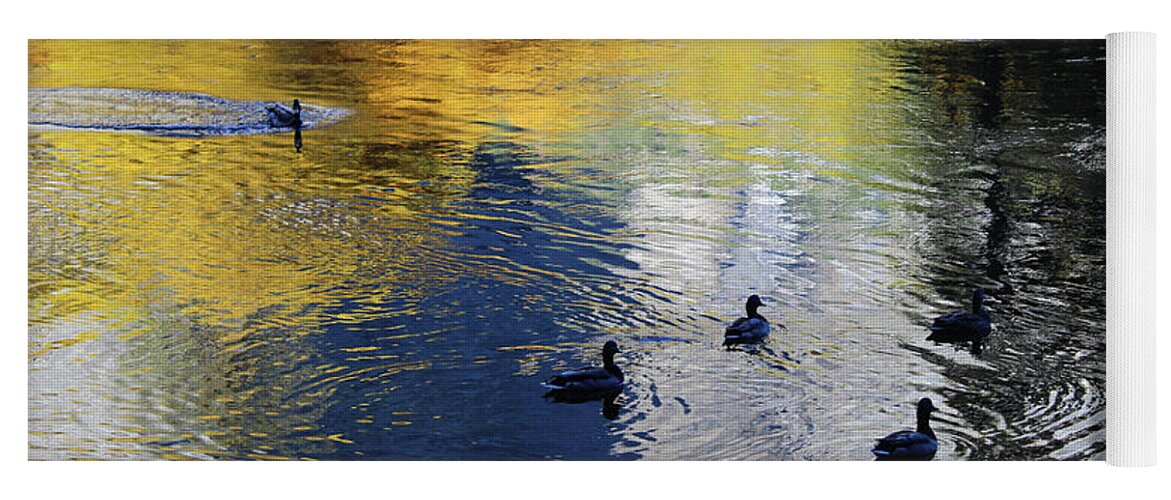 Ducks Yoga Mat featuring the photograph Ducks On The Merced River by Eric Forster