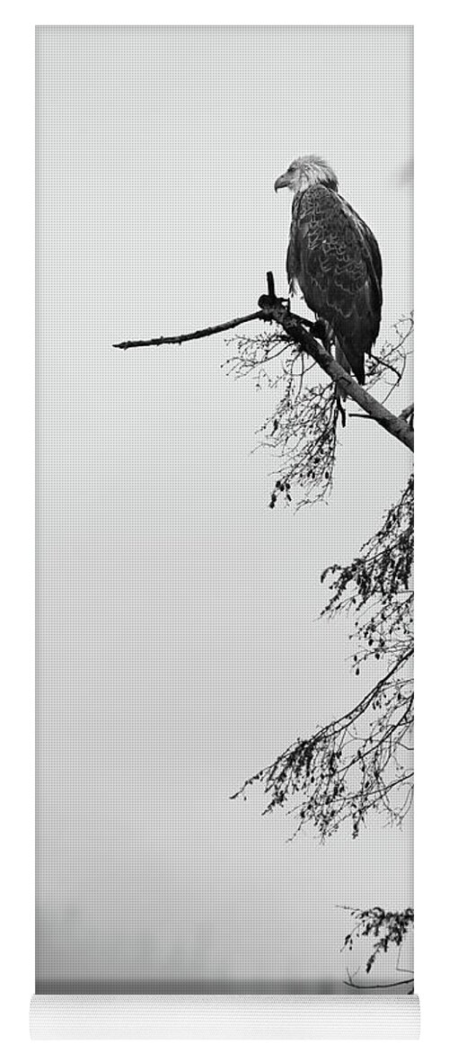  Yoga Mat featuring the photograph Eagle Black and White by Michael Rauwolf
