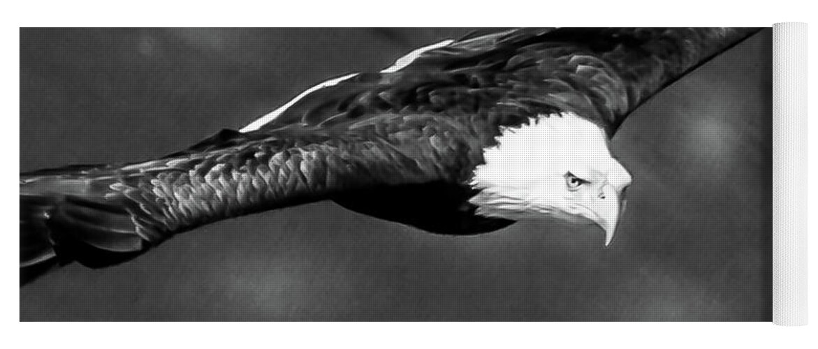 Eagle Yoga Mat featuring the photograph Eagle in Black and White by David Wagenblatt