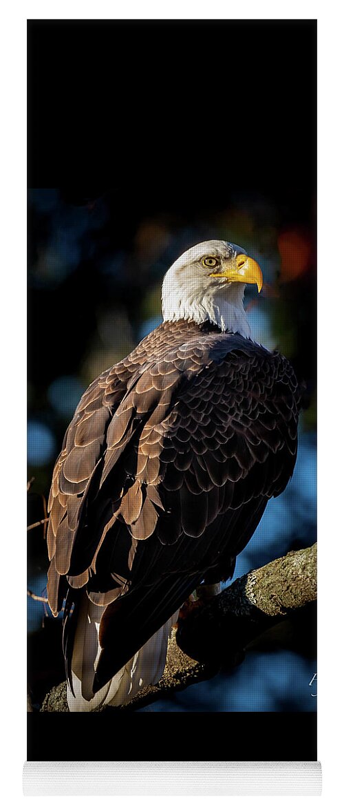 Eagle Yoga Mat featuring the photograph Eagle on a Branch by William Bretton