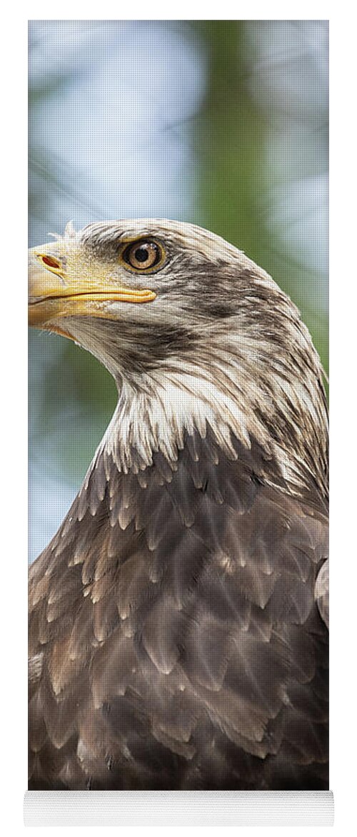 Wildlife Yoga Mat featuring the photograph Eagle Profile by Bob Cournoyer