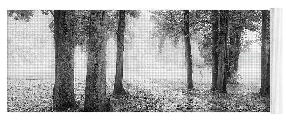Carolina Yoga Mat featuring the photograph Early Morning Walk Black and White by Debra and Dave Vanderlaan