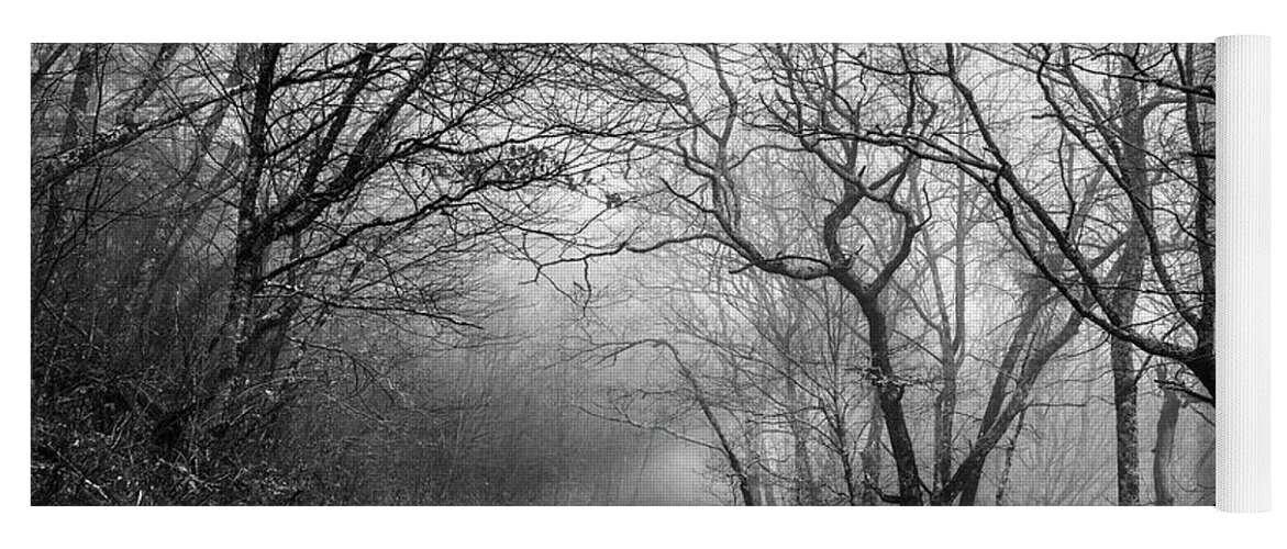 Roads Yoga Mat featuring the photograph Early Winter Light in the Trees Black and White by Debra and Dave Vanderlaan