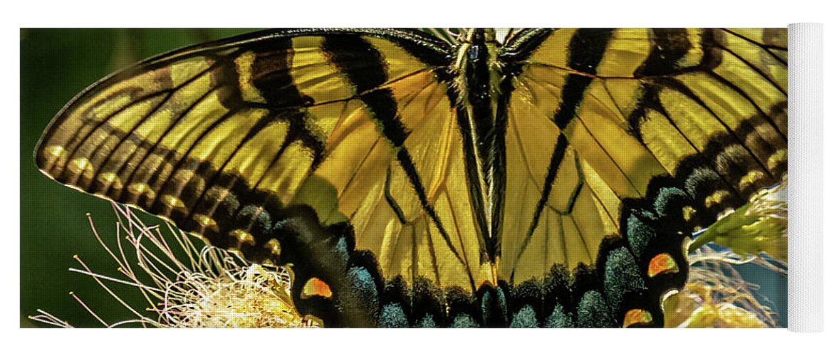Eastern Tiger Swallowtail Butterfly Yoga Mat featuring the photograph Eastern Tiger Swallowtail Butterfly by Rick Nelson