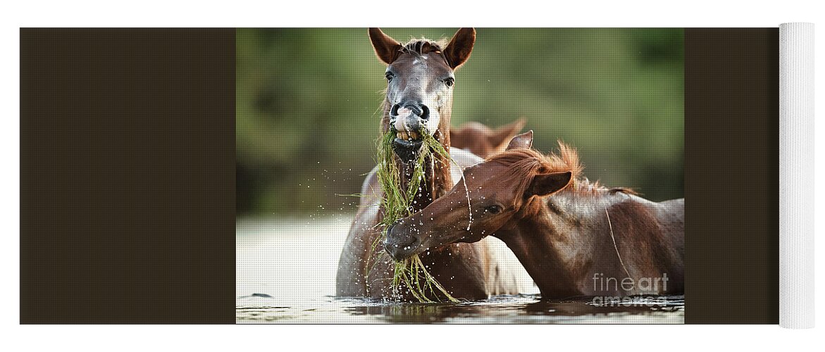 Salt River Wild Horses Yoga Mat featuring the photograph Eelgrass Cuties by Shannon Hastings