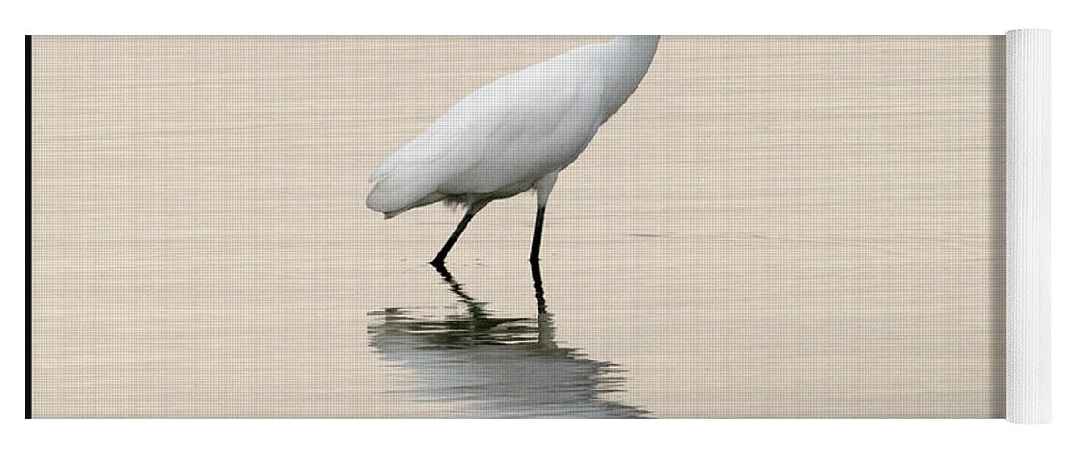 Egret Yoga Mat featuring the photograph Egret by Mark Ivins