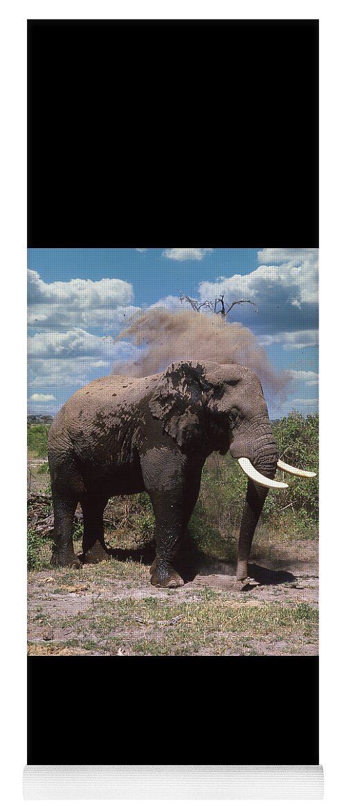 Africa Yoga Mat featuring the photograph Elephant Dirt Bath by Russel Considine