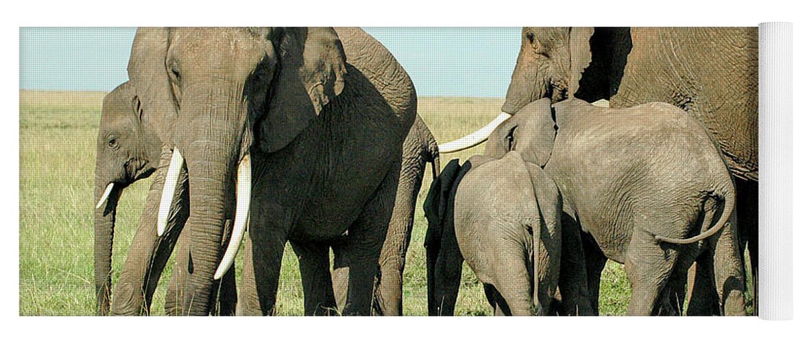 Elephant Yoga Mat featuring the photograph Elephant Family by Steve Templeton