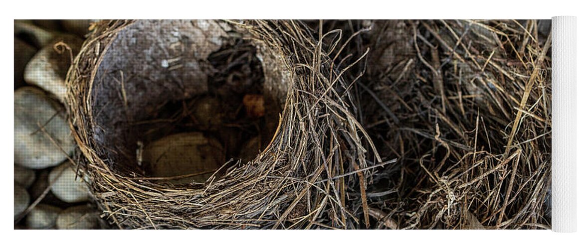 Animals Yoga Mat featuring the photograph Empty Nest - Wildlife Photography 2 by Amelia Pearn