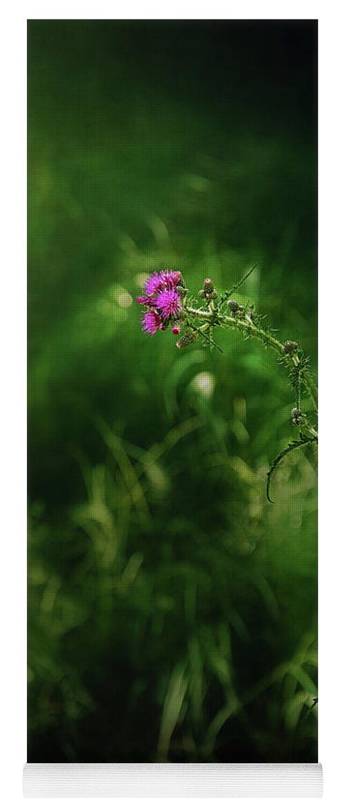 Thistle Wildflower Picture Yoga Mat featuring the photograph Enchanted Forest Picture by Gwen Gibson