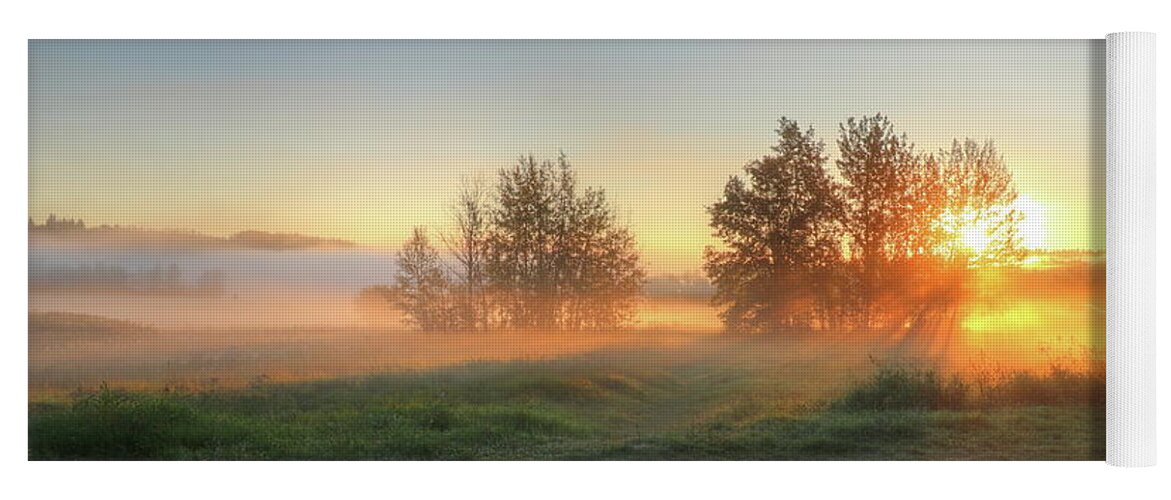 Sunrise Yoga Mat featuring the photograph Enchanted by Jim Sauchyn