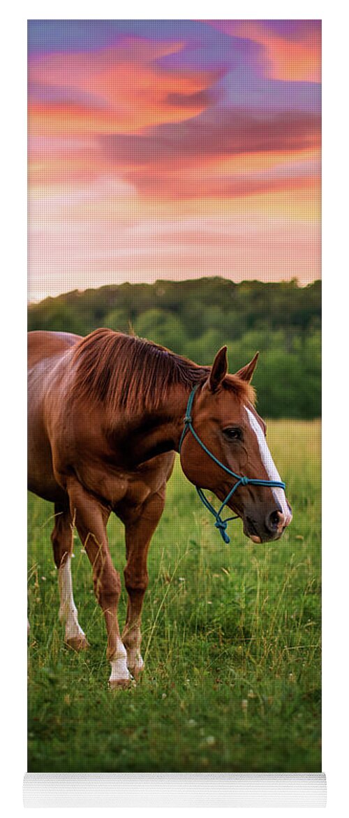 Horse Yoga Mat featuring the photograph End of Reign by Tricia Louque