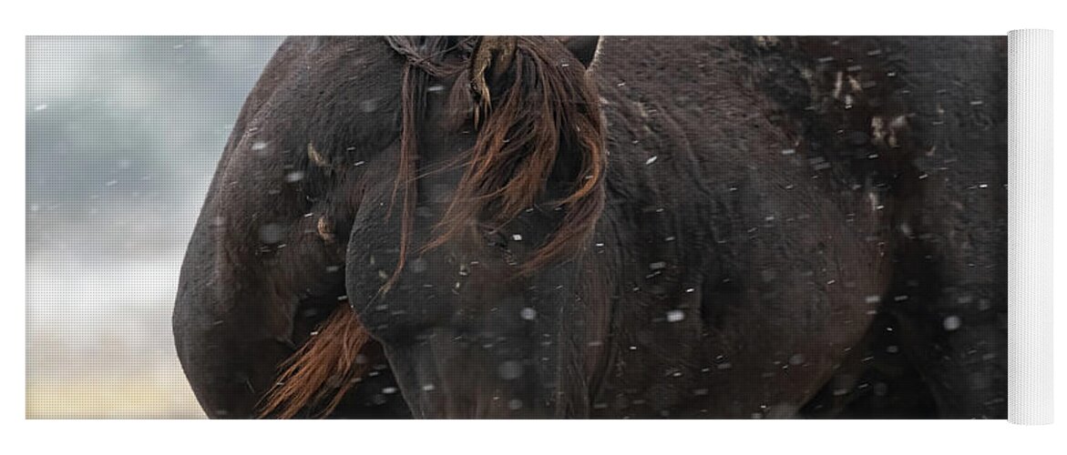Wild Horses Yoga Mat featuring the photograph Endurance by Mary Hone