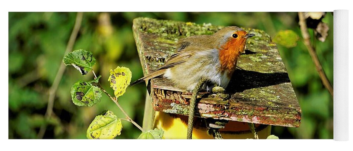 Robin Yoga Mat featuring the photograph English Robin On A Birdhouse by Tranquil Light Photography