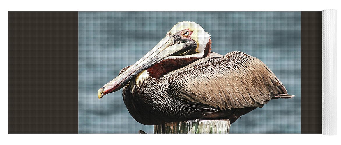 Brown Pelican Yoga Mat featuring the photograph Enjoy Life's Moments by Joanne Carey