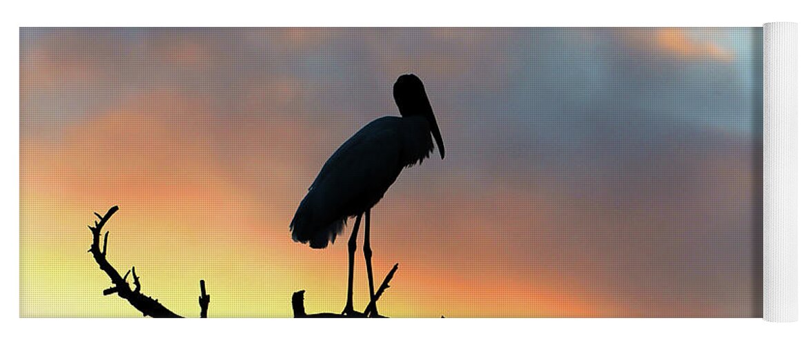 Wood Stork Yoga Mat featuring the photograph Enjoying the Sunset by Robert Carter