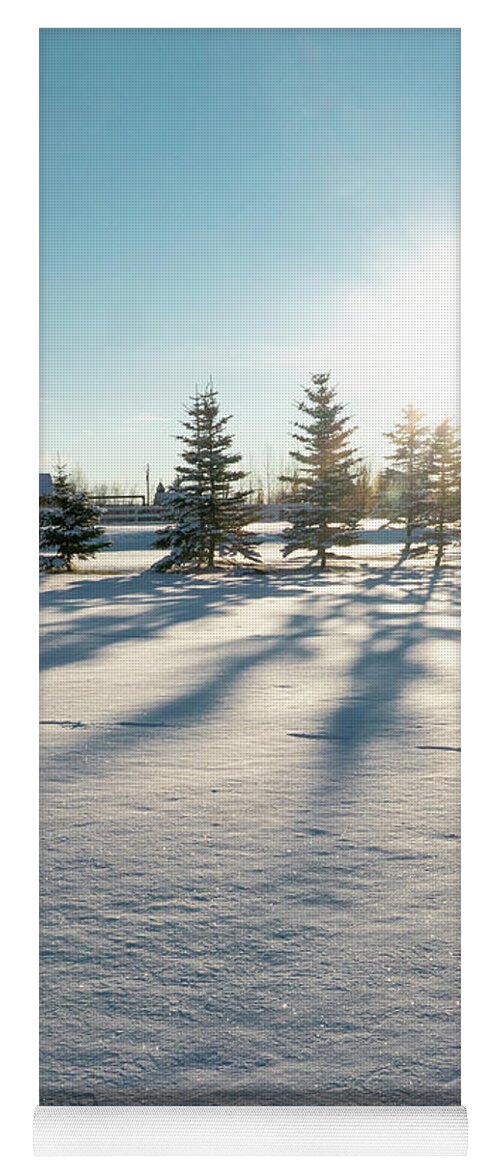Evergreen Yoga Mat featuring the photograph Evergreen Shadows On Snow by Karen Rispin