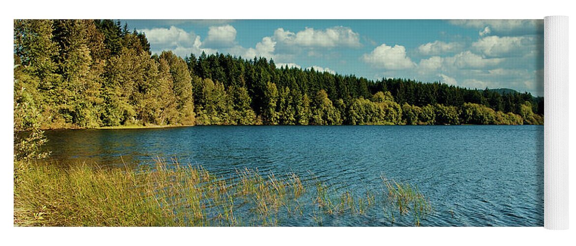 Blue Yoga Mat featuring the photograph Evergreens Around Peaceful Lake by Darryl Brooks