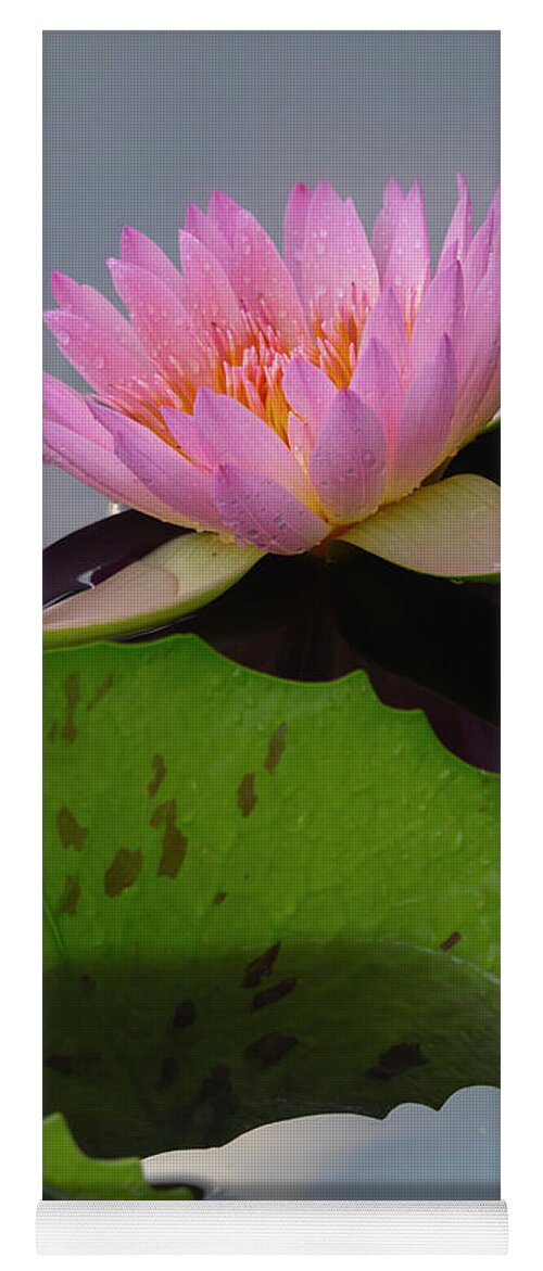 Summer Yoga Mat featuring the photograph Existing together. by Usha Peddamatham
