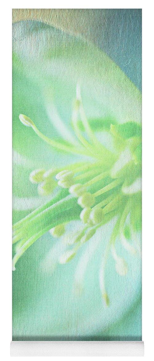 Photography Yoga Mat featuring the digital art Exquisite Hellebore by Terry Davis