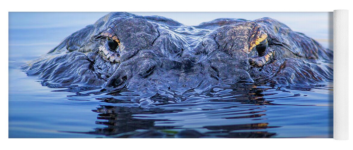 Alligator Yoga Mat featuring the photograph Eyes of the Everglades by Mark Andrew Thomas