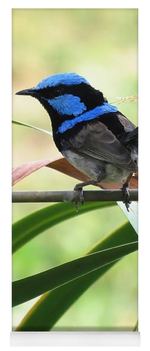 Portrait Yoga Mat featuring the photograph Fairy-wren 1 by Joan Stratton