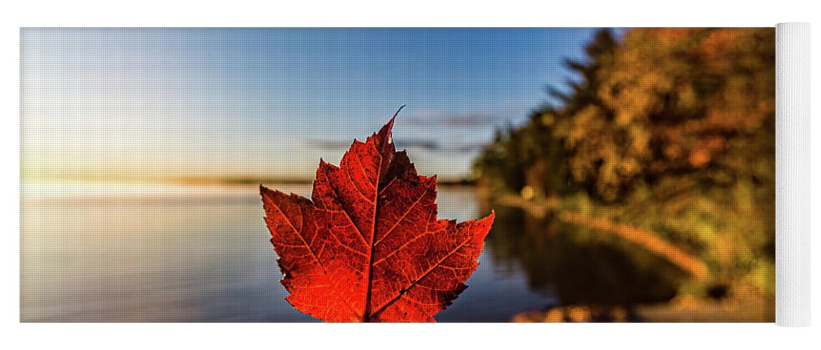 Fall Yoga Mat featuring the photograph Fall at Higgins Lake by Joe Holley