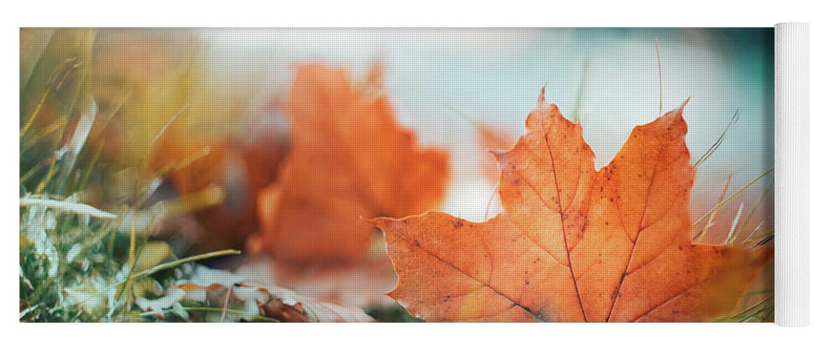 Leaf Yoga Mat featuring the photograph Fall Bokeh by Scott Norris