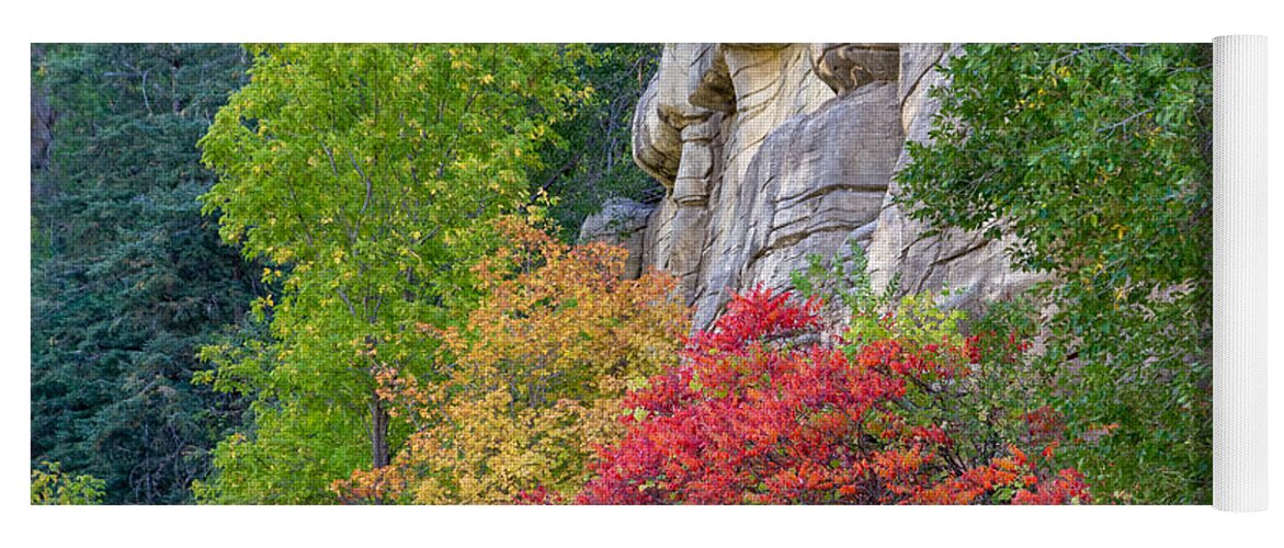 Fall Colors Fstop101 Oak Creek Canyon Sedona Arizona Landscape Yoga Mat featuring the photograph Fall Colors in Sedona's Oak Creek Canyon by Geno Lee