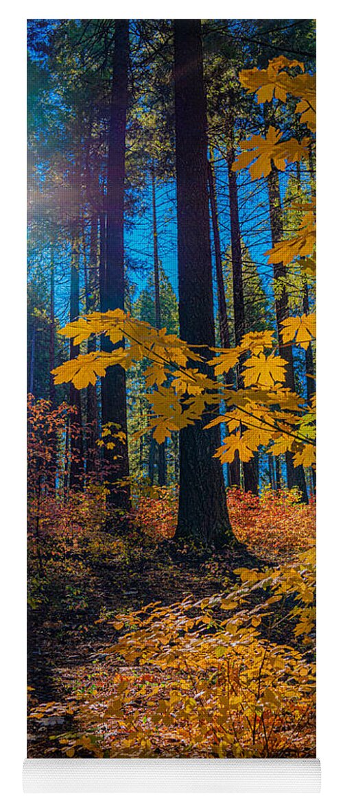 Landscape Yoga Mat featuring the photograph Fall colors in the Sierrras by Devin Wilson