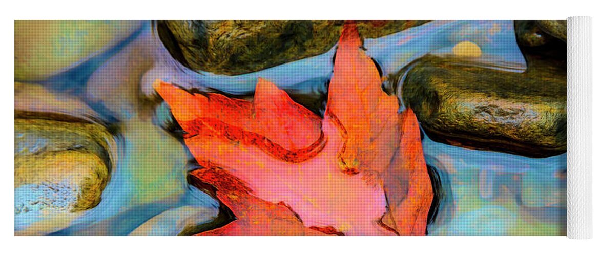 Carolina Yoga Mat featuring the photograph Fall Float Painting by Debra and Dave Vanderlaan