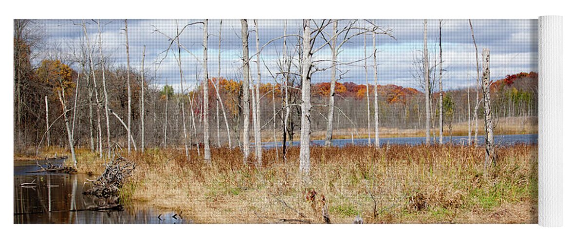 Michigan Yoga Mat featuring the photograph Fall in the Woods by Rich S