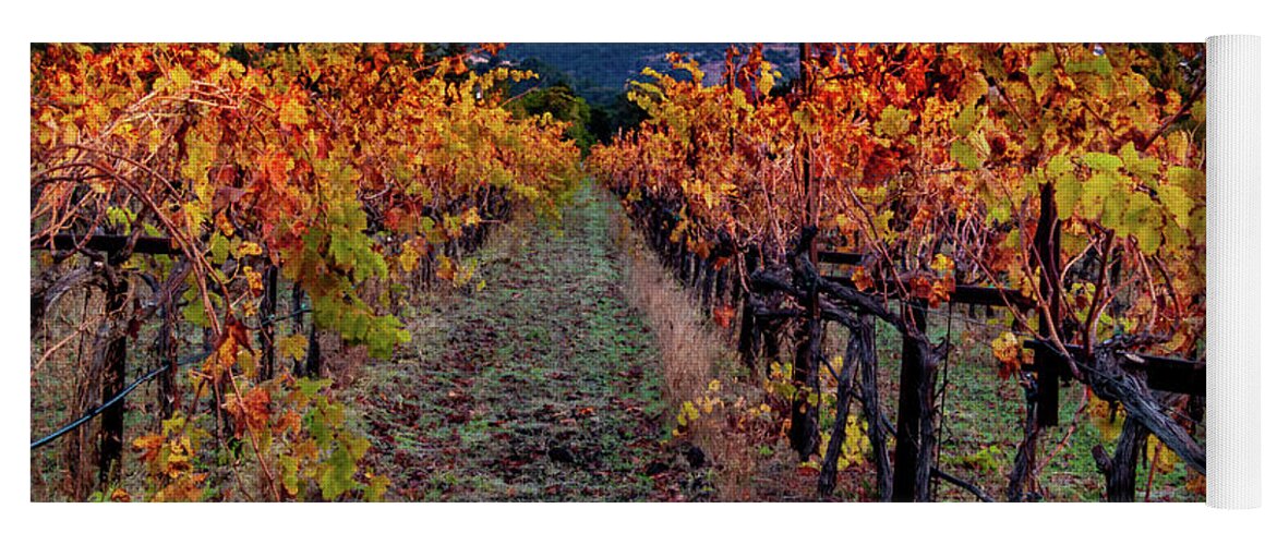 Bill Gallagher Photography Yoga Mat featuring the photograph Fall in Wine Country by Bill Gallagher