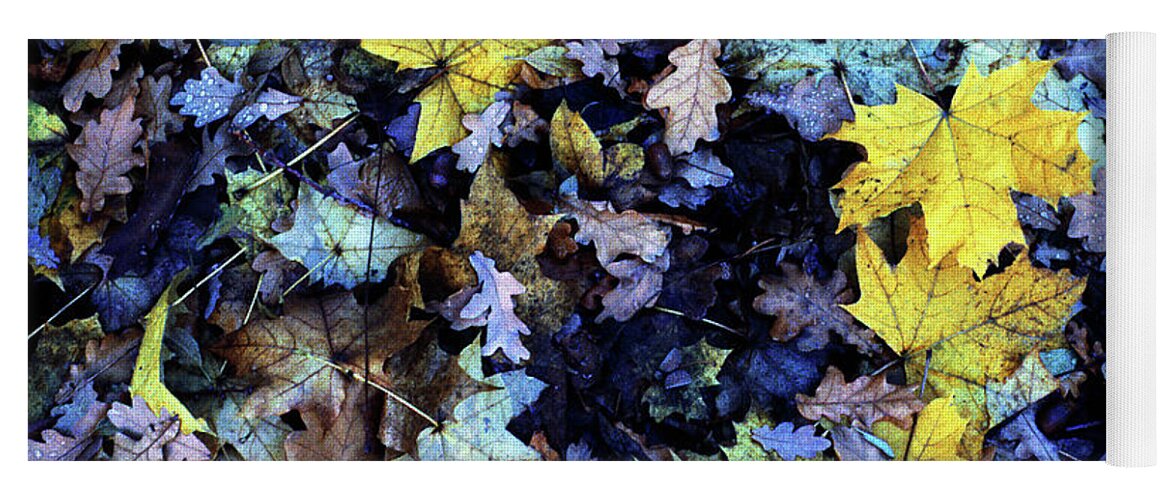 Leaves Yoga Mat featuring the photograph Fall leaves 01 by Jean Evans