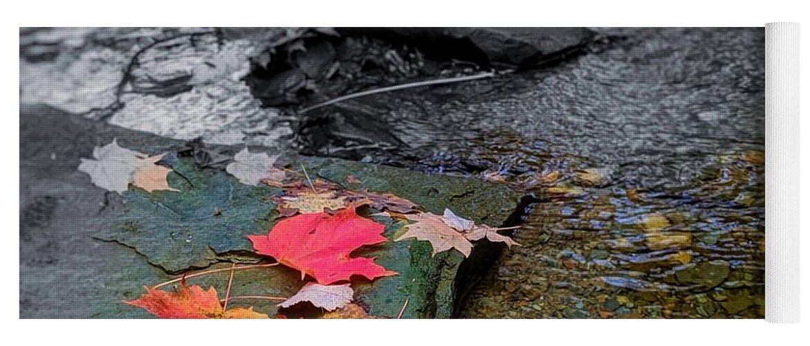  Yoga Mat featuring the photograph Fall Leaves by Brad Nellis