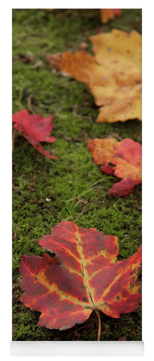 Fall Yoga Mat featuring the photograph Fall Leaves on Moss by Denise Kopko
