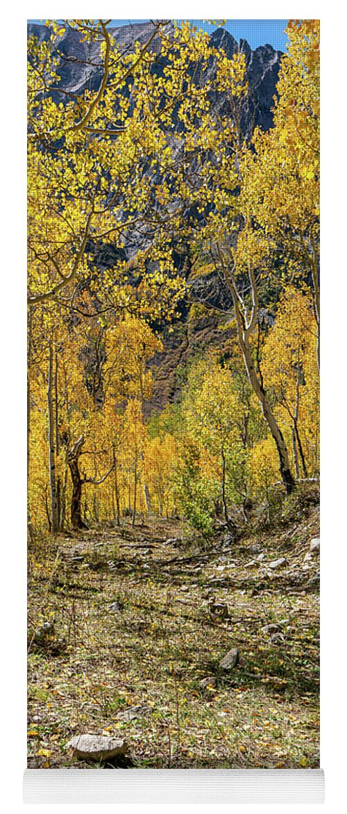Aspens Yoga Mat featuring the photograph Fall Mountain Road by Ron Long Ltd Photography