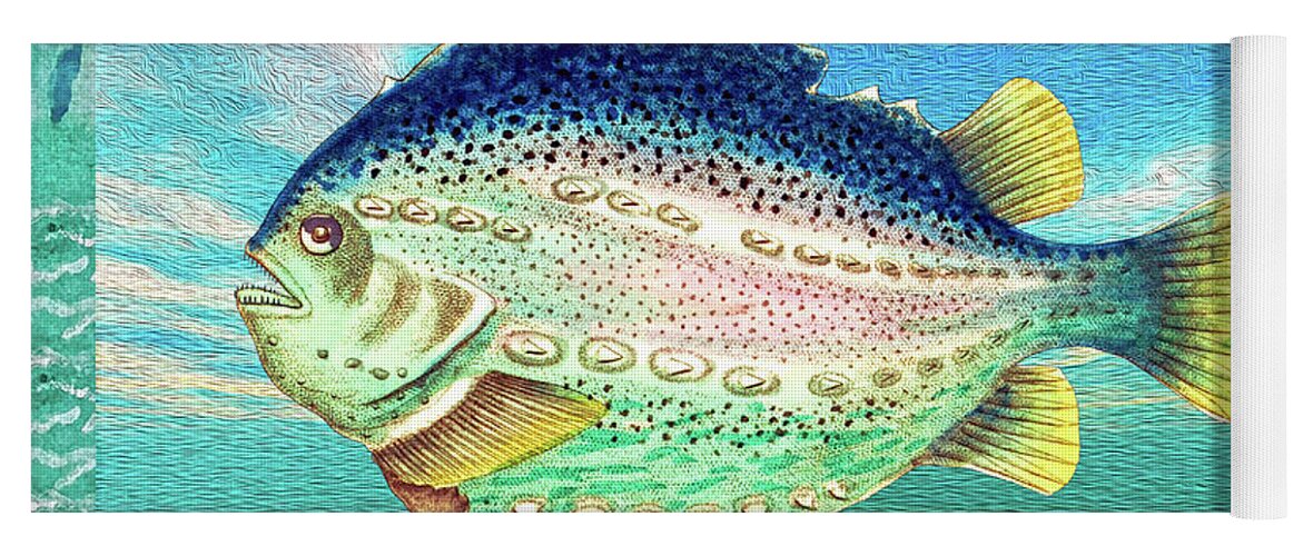 Cd Blue Fish Yoga Mat featuring the mixed media Fancy Fish Portrait by Lorena Cassady