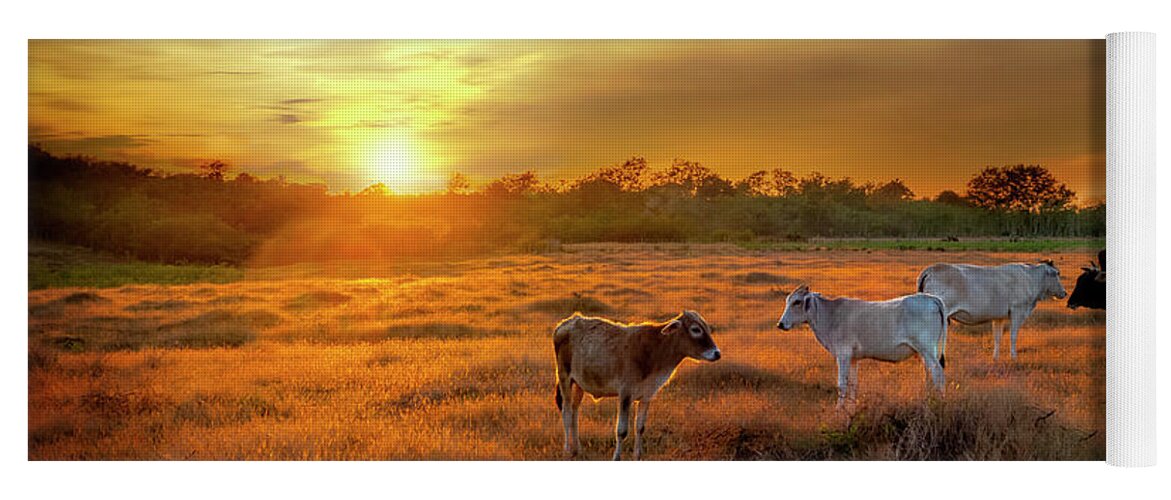 Cuba Yoga Mat featuring the photograph Farming in Cuba at sunset by Kathryn McBride