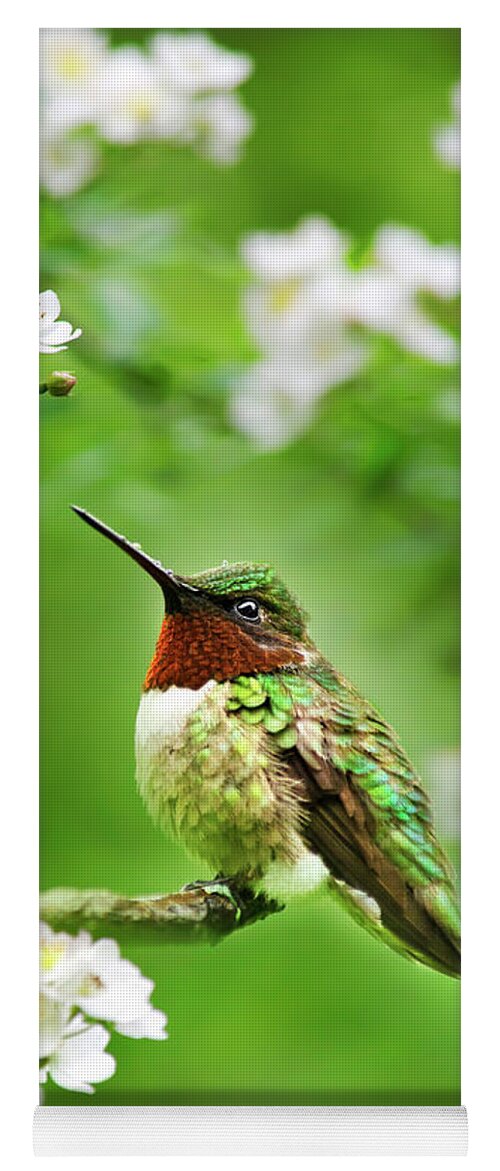 Hummingbird Yoga Mat featuring the photograph Fauna and Flora - Hummingbird with Flowers by Christina Rollo