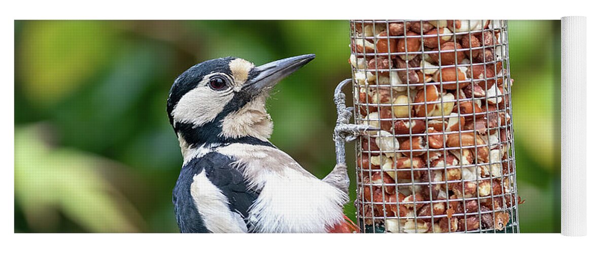 Nature Yoga Mat featuring the photograph Female Great Spotted Woodpecker feeding on peanuts by Jane Rix