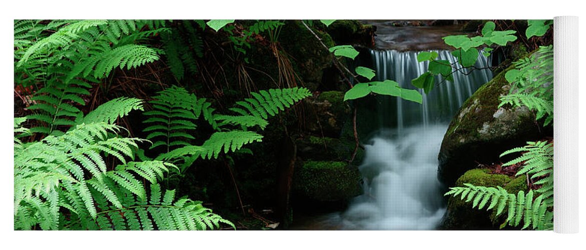 Spring Yoga Mat featuring the photograph Ferns and small stream by Kevin Shields