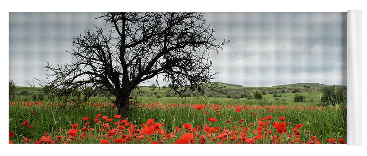 Poppy Anemone Yoga Mat featuring the photograph Field full of red beautiful poppy anemone flowers and a lonely dry tree. Spring time, spring landscape Cyprus. by Michalakis Ppalis