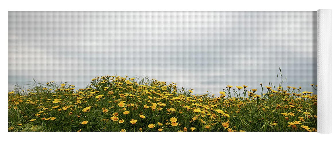 Spring Yoga Mat featuring the photograph Field with yellow marguerite daisy blooming flowers against cloudy sky. Spring landscape nature background by Michalakis Ppalis